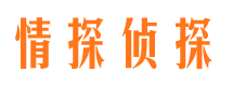 平山市调查公司